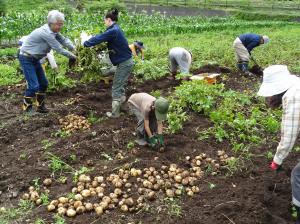 �W���K�C�����n