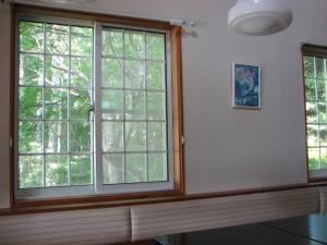 白い窓枠と緑