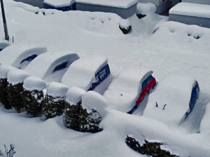雪の駐車場